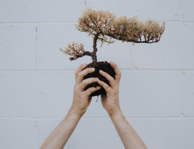 Screen Shot 2022-05-24 at 4.05.38 PM